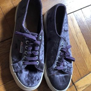 Toms superga velvet shoes